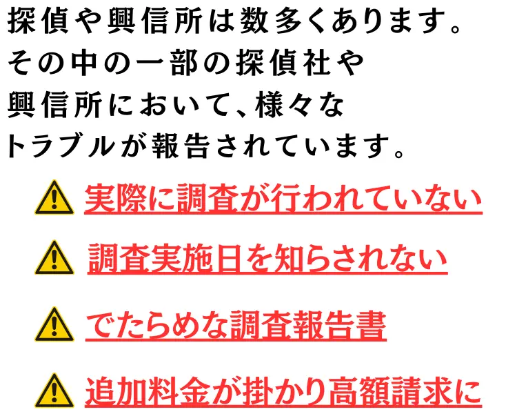 危険な探偵社